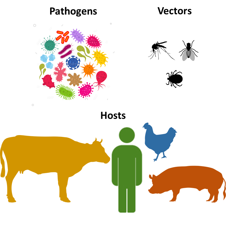 Vector Borne Infectious Disease Management From A One Health Perspective Fems