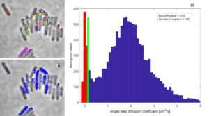 Example of single molecule tracking data