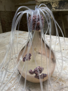 Fermenting Futures