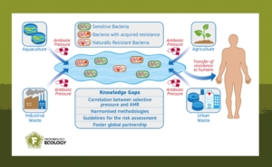 Scheme to show antimicrobial resistances in the environment