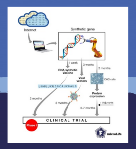 Schematic for vaccine development approach for a vaccine against HIV