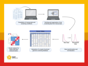 Workflow to generate a yeast genomic library