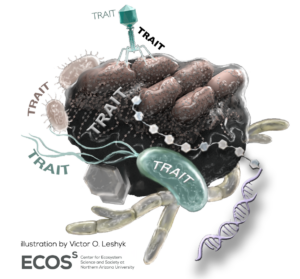 Schematic of genomic traits forming microbial communities