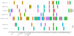 Schematic of genetic mutations of different SARS-CoV-2 variants showing that the Omicron variant carries many mutations that were already present in previous mutants.