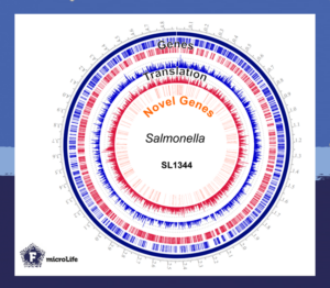 The reannotated Salmonella genome featuring the newly identified small bacterial proteins.
