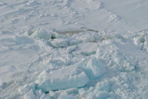 Sample site for sea ice algae
