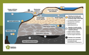 Hypoxic or apparently anoxic ecosystems containing oxygen-producing microorganisms.