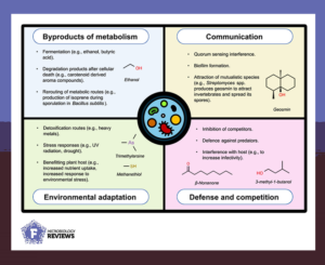 Functions of microbial volatile organic compounds.