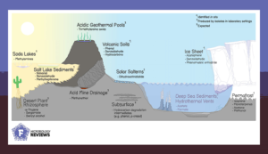 Microbial volatile organic compounds from extreme environments.
