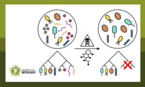 Pollutants impact microbial communities in a phylogenetically structured manner.