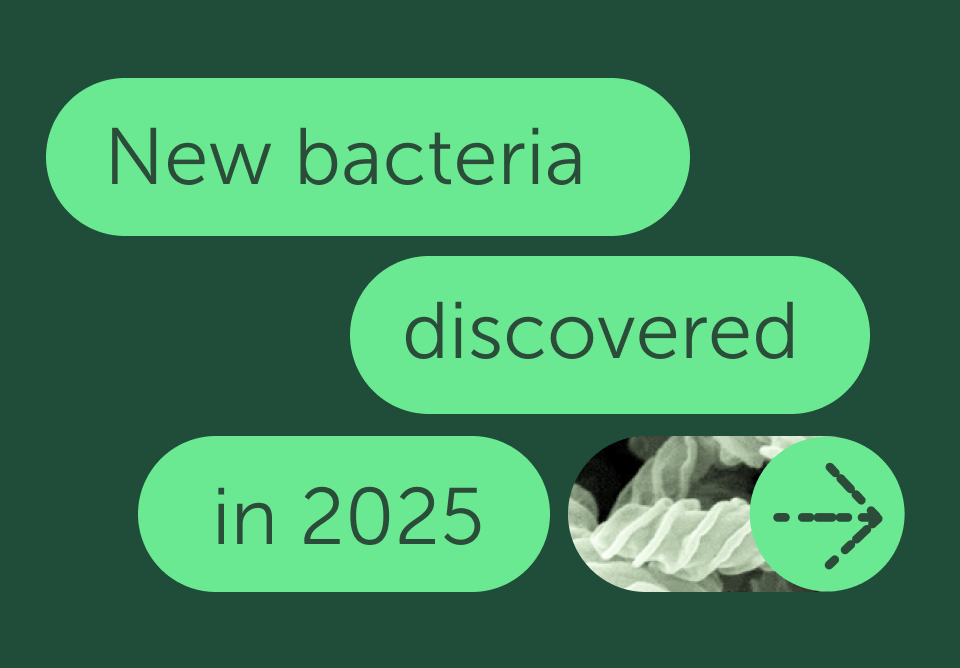FEMSmicroBlog: New bacteria identified in 2025 - FEMS