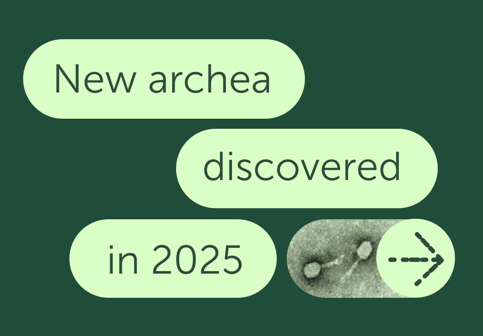 FEMSmicroBlog: Welcoming new archaea in 2025 - FEMS