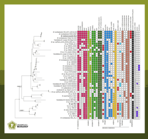 Distribution of distinct metabolic traits in Methylobacter.