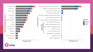 Prevalence of antibiotic resistance genes and virulence factors in IncH plasmids.