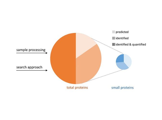 Small proteins in Prokaryotes Reading list - FEMS