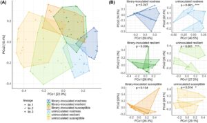 Microbial diversity between selection types and inoculation treatments.