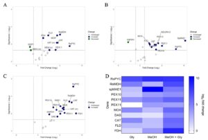 Gene expression analysis of selected genes involved in methanol metabolism on different substrates. 