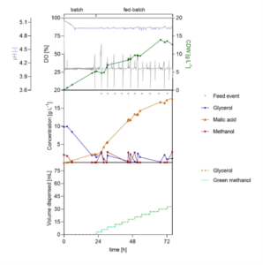 Two-phase fermentation of O. polymorpha using a glycerol and green methanol cofeed. 