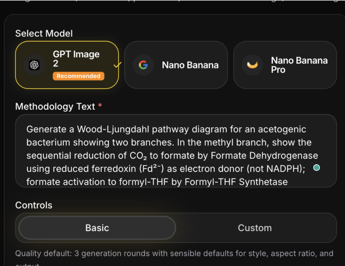 Modified, more detailed prompt used for the second PaperBanana attempt at a Wood-Ljungdahl pathway diagram.