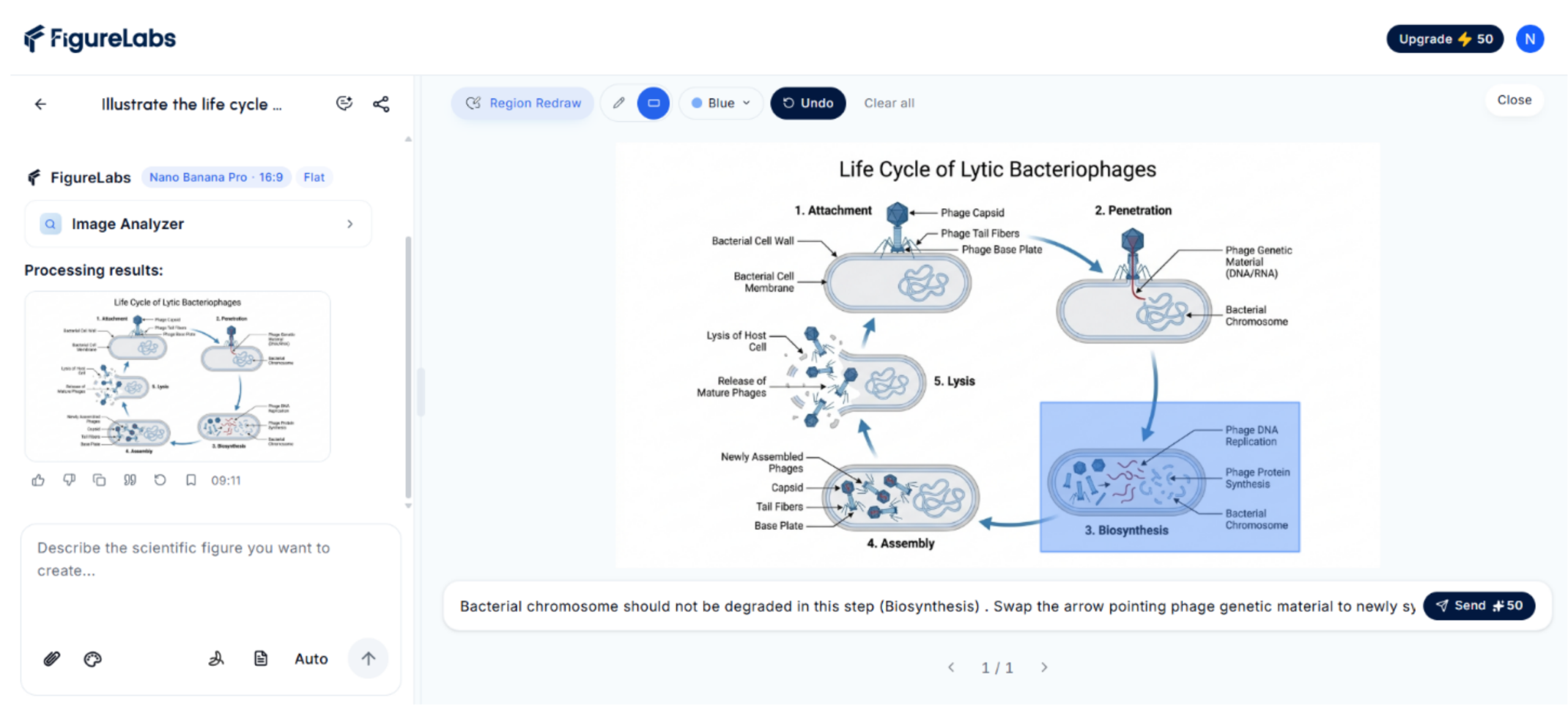 PaperBanana interface showing the Region Redraw tool selecting an area of the phage life cycle figure.